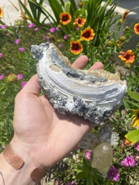 Image 4 of Honey Calcite Clam