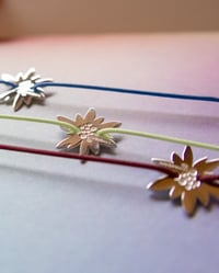 Image 2 of PRE-ORDINE | Bracciale Stella Alpina