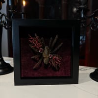 Image 1 of Maroon Floral Tarantula 