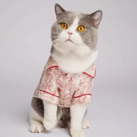 RED TOILE SHIRT