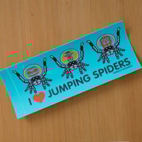 Image 3 of I Love Jumping Spiders BUMPER Sticker