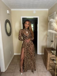 Image 2 of Animal Tyme