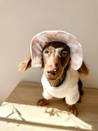 Image 3 of Checker Bucket Hat suited for all breeds