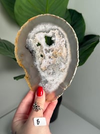 Image 3 of THIN DRUZY AGATE SLICES -BRAZIL-