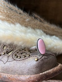 Image 2 of The Prairie Rose