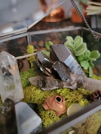 Image 4 of Coffin Crystal Garden