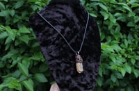 Image 6 of Dead good stained sheep tooth necklace large