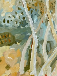 Image 4 of bush castle 