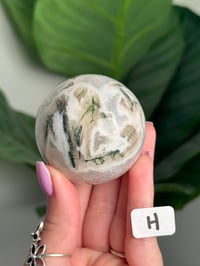 Image 8 of CHOOSE YOUR OWN MOSS AGATE SPHERE -INDIA- LOT 1