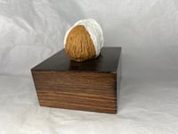 Image 4 of Custom Engraved Guinea Pig Urn Custom HandPainted To Your Photos