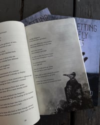 Image 2 of "Bloodletting a butterfly" Paperback Book