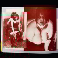 Image 2 of Toshiharu Ito 'Biological Ruins Theory'