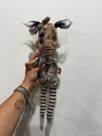 Image 1 of Donna Dolly