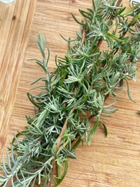Image 6 of ‘Oya’ : Lavender Surrender & Courage Ritual Oil