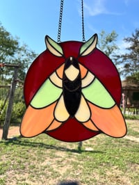 Image 1 of Sweet Moth - Light