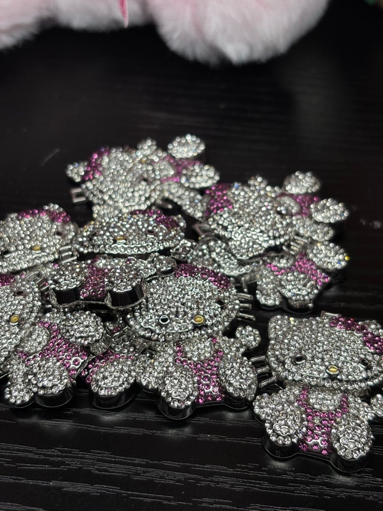 Image of HK full body bling