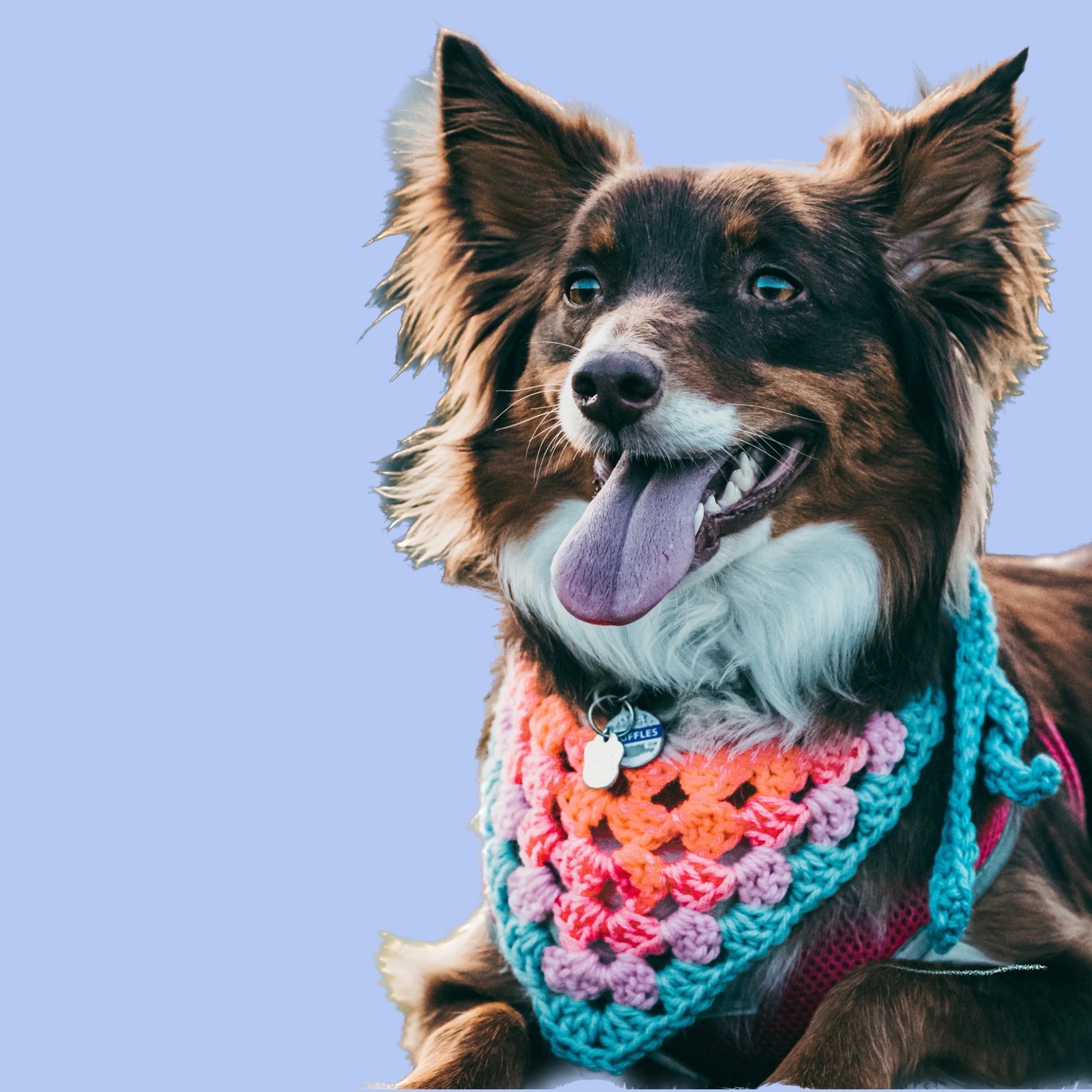 Fluffy af cheap dog bandana