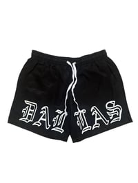 Image 1 of DALLAS SWIM TRUNKS