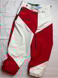 Image 2 of LIZARD AIR RAID PANTS