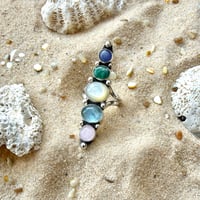 Image 2 of Tidepool Treasures
