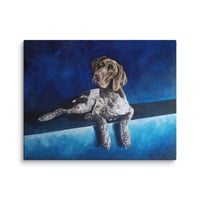 Image 4 of Blue German Shorthaired Pointer