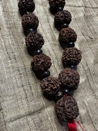 Image 5 of Rudraksha Beads