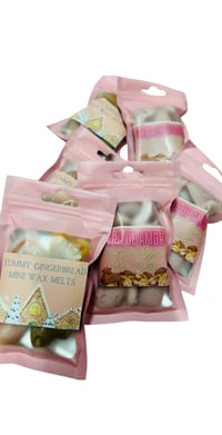 Image 1 of Mini Pouch of Wax Melts