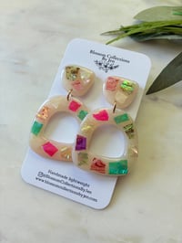 Image 2 of Seashells