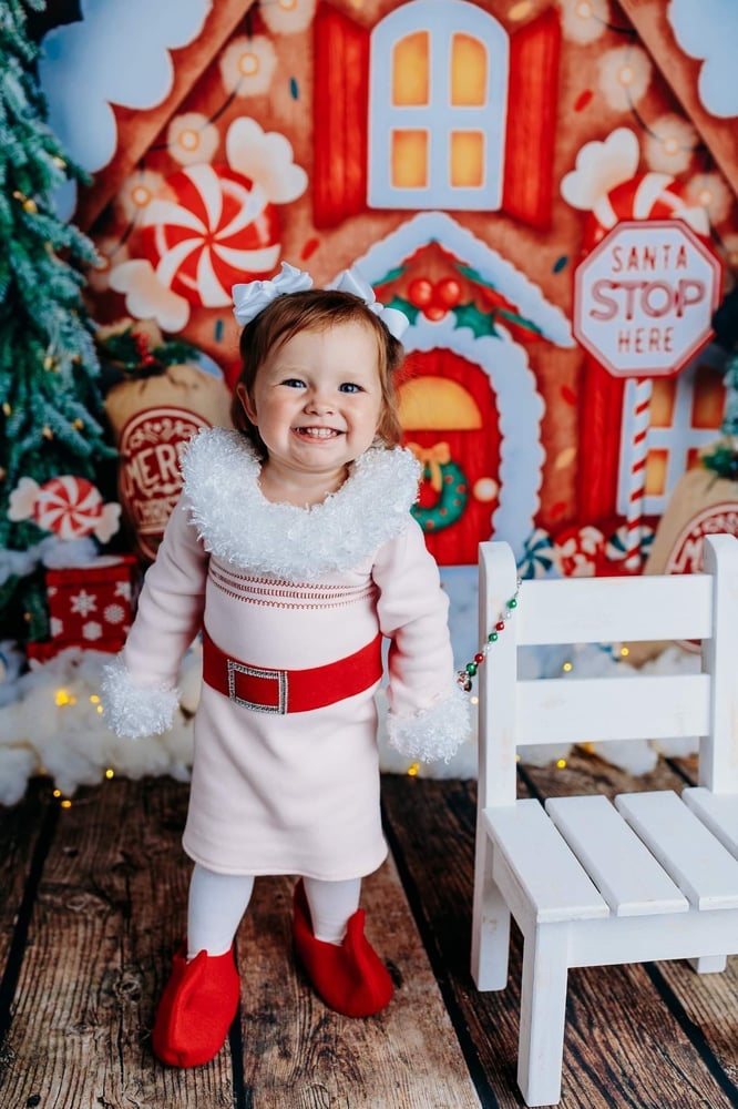 Image of Little Miss Elf set 