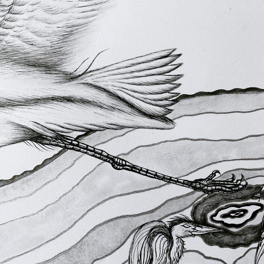 Image of Moonlit Heron 