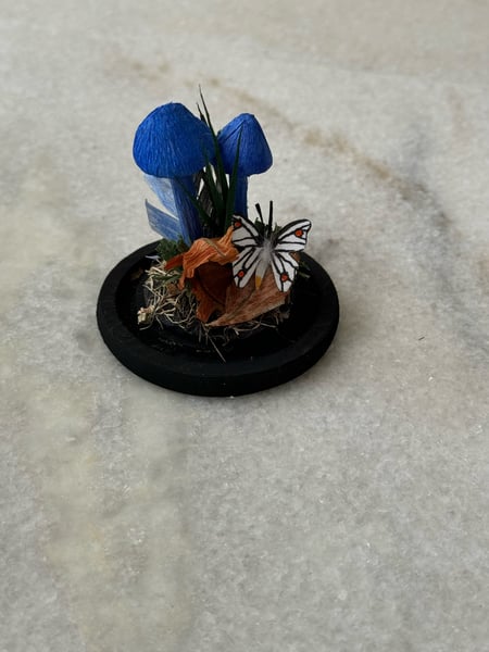 Image of EntolomaVirescens paper mushroom