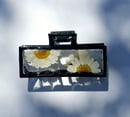Image 2 of Floral Claw Clips Rectangles 