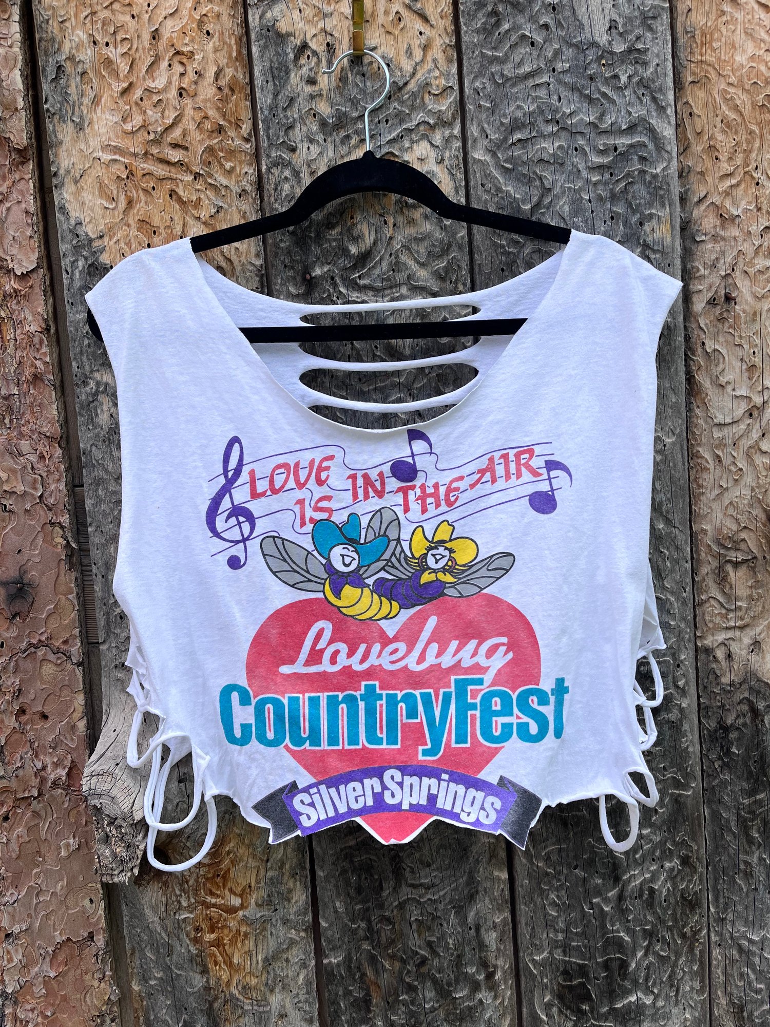 Country Music Fest 95