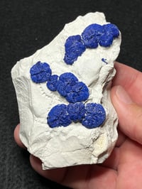 Image 1 of Azurite Suns On Matrix Specimen | NT Australia #2774