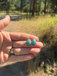Bluebird Studs