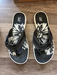 Clark’s black 
