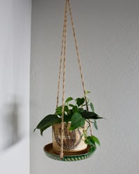 Image 4 of 'Rayitos Verdes' Hanging Tray