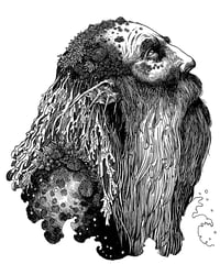 Sruth Nam Fear Gorma 8 x 10" Print