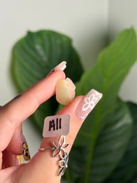 Image 11 of CHOOSE YOUR OWN ETHIOPIAN OPAL LOT A