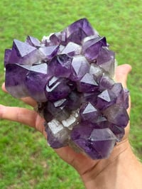 Image 17 of Amethyst Points Cluster | Congo #2868