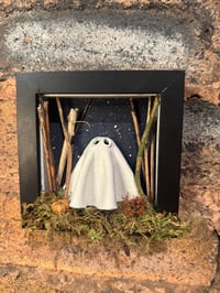 Image 1 of 3d Framed Ghost #6