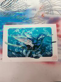 Image 3 of Monographie "À Vol d'Oiseau" + spécial print