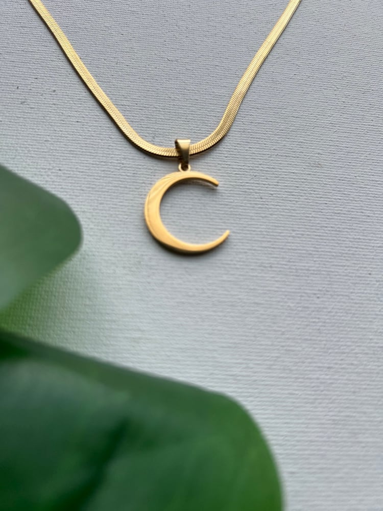 Image of Moony • Moon Pendant Necklace