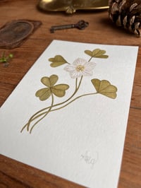 Image 3 of Wood Sorrel Original Painting