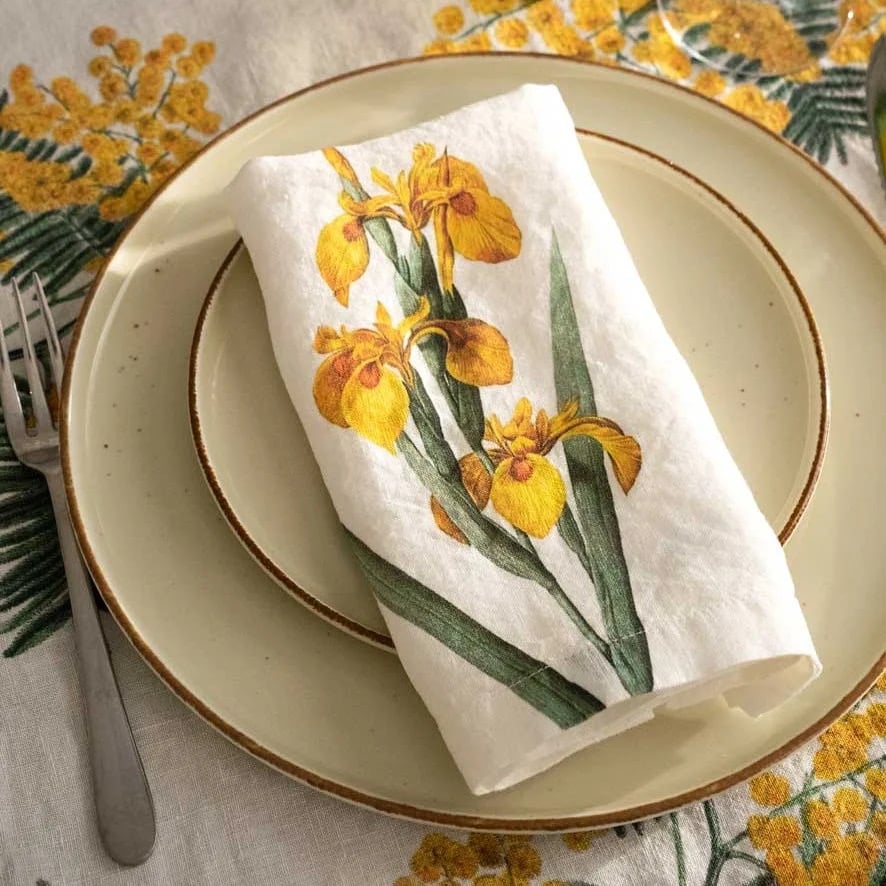 Image of FDP CHÂTEAU, SAINT JEAN DE BEAUREGARD 10-11-12 Avril 2026