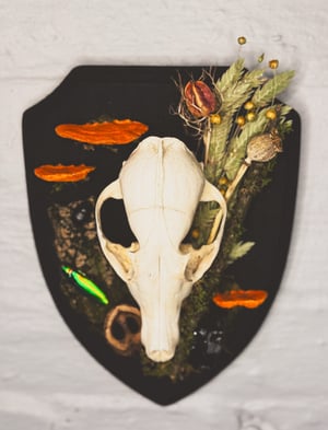 Image of Coyote Skull Hanger