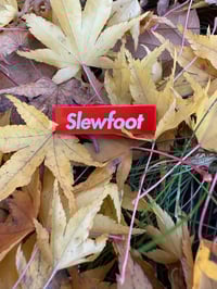 Image 1 of SLEWFOOT Enamel Pin