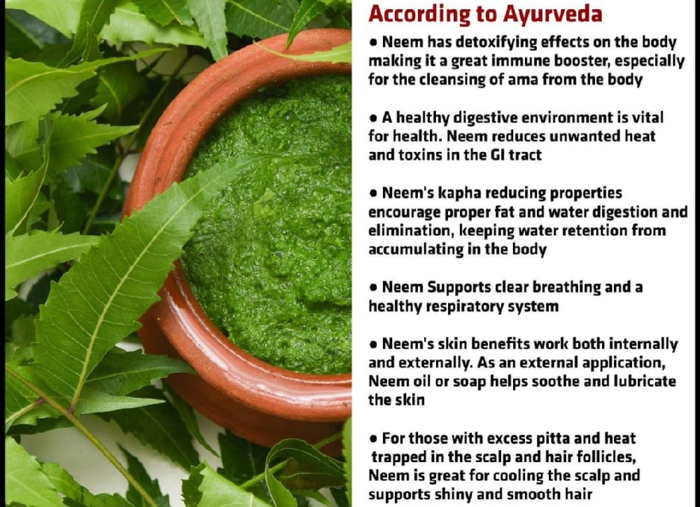 NEEMLY YOURS! Powder/Leaves/Teabags. Diabetes-Fungi-Viruses-Parasites-Allergies-Infections.