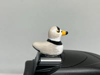 Image 1 of Piping Plover Hotshoe Cover