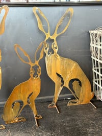 Image 4 of Harolds Hare